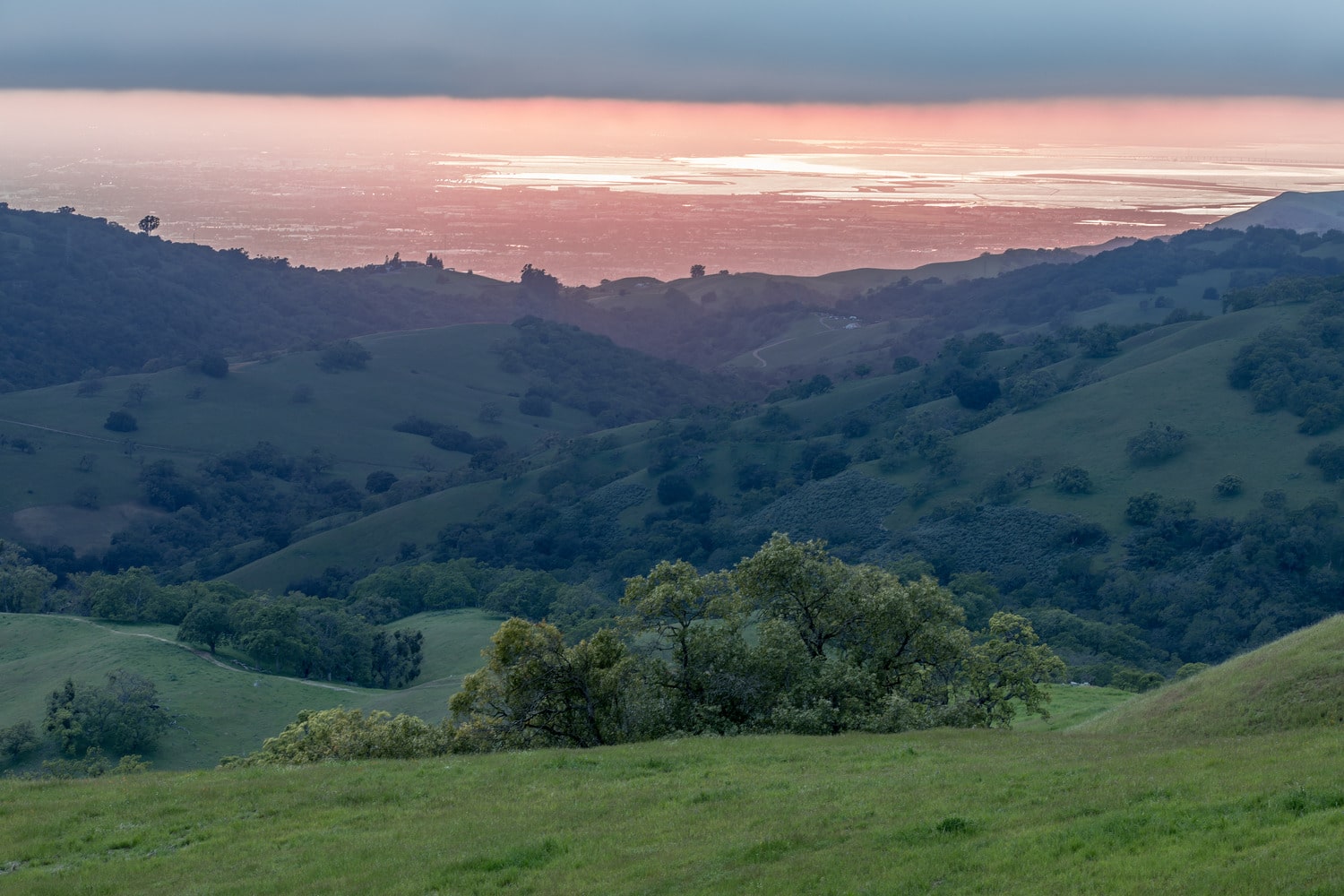 Milton Property Management